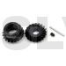 ND-YR7-AS1146  -	 Curtis Youngblood Steel Helical Tail Gear Set (Front) 